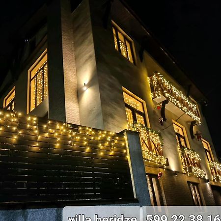 Villa Beridze 보르조미 외부 사진